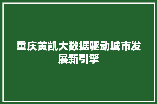 重庆黄凯大数据驱动城市发展新引擎