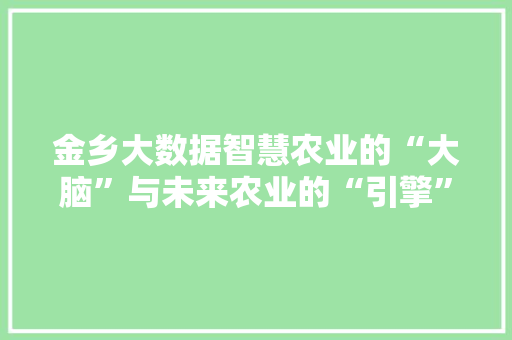 金乡大数据智慧农业的“大脑”与未来农业的“引擎”