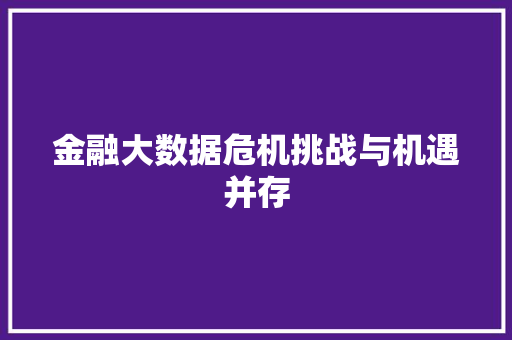 金融大数据危机挑战与机遇并存