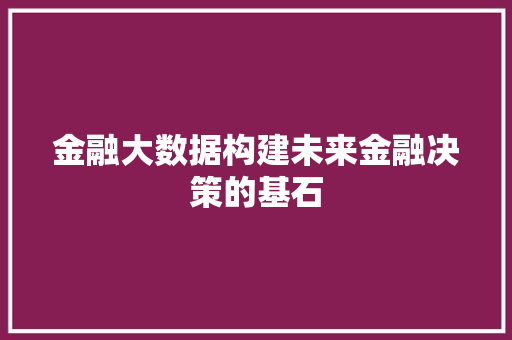 金融大数据构建未来金融决策的基石