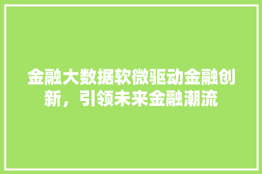 金融大数据软微驱动金融创新，引领未来金融潮流