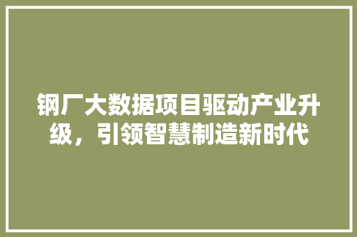 钢厂大数据项目驱动产业升级，引领智慧制造新时代