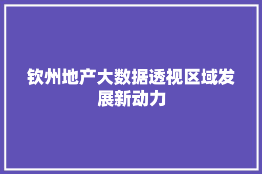 钦州地产大数据透视区域发展新动力