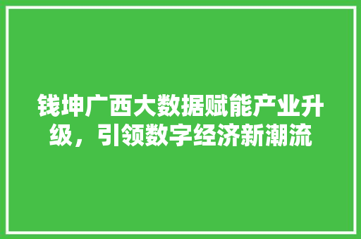 钱坤广西大数据赋能产业升级，引领数字经济新潮流