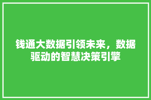 钱通大数据引领未来，数据驱动的智慧决策引擎