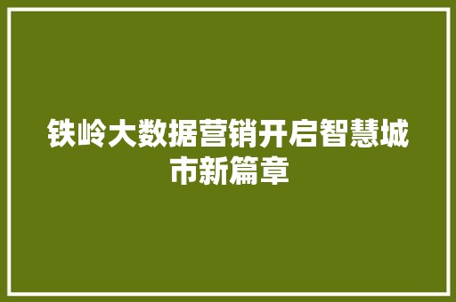 铁岭大数据营销开启智慧城市新篇章