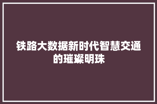 铁路大数据新时代智慧交通的璀璨明珠