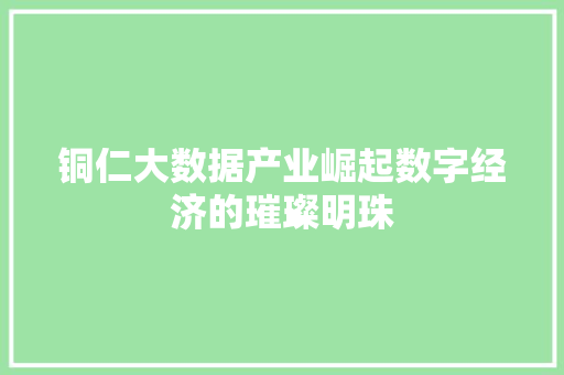 铜仁大数据产业崛起数字经济的璀璨明珠