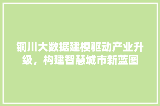 铜川大数据建模驱动产业升级，构建智慧城市新蓝图