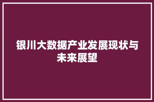 银川大数据产业发展现状与未来展望