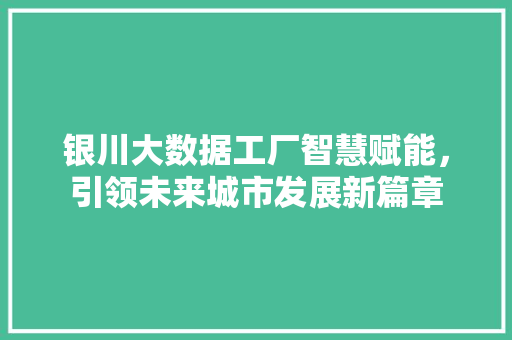 银川大数据工厂智慧赋能，引领未来城市发展新篇章