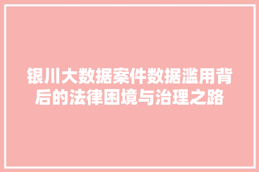 银川大数据案件数据滥用背后的法律困境与治理之路