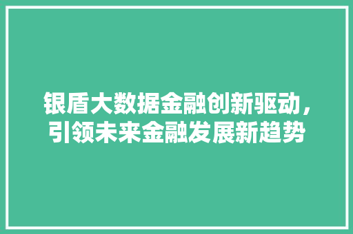 银盾大数据金融创新驱动，引领未来金融发展新趋势