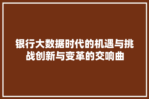 银行大数据时代的机遇与挑战创新与变革的交响曲