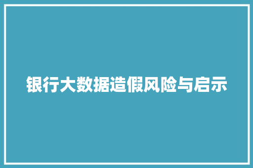 银行大数据造假风险与启示
