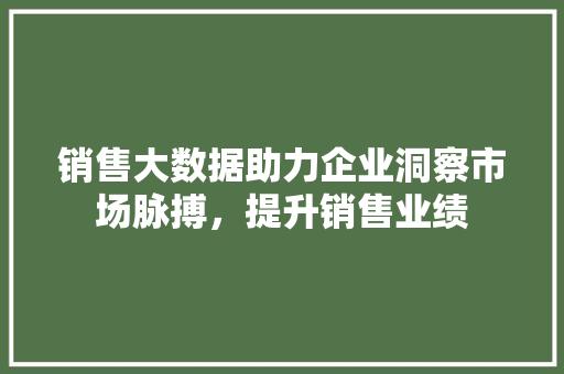 销售大数据助力企业洞察市场脉搏，提升销售业绩