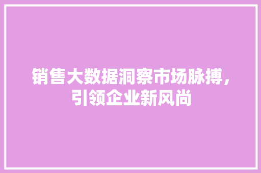 销售大数据洞察市场脉搏，引领企业新风尚