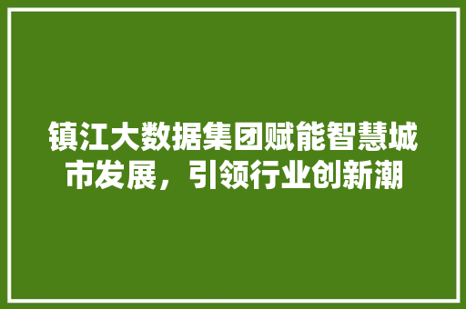 镇江大数据集团赋能智慧城市发展，引领行业创新潮