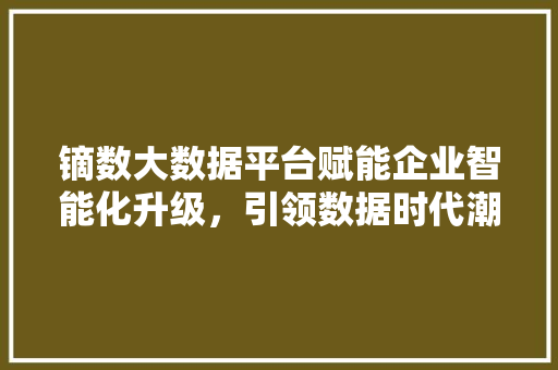 镝数大数据平台赋能企业智能化升级，引领数据时代潮流
