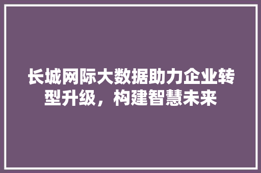 长城网际大数据助力企业转型升级，构建智慧未来