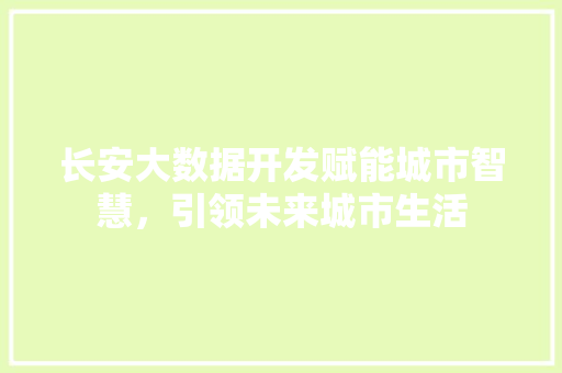 长安大数据开发赋能城市智慧，引领未来城市生活