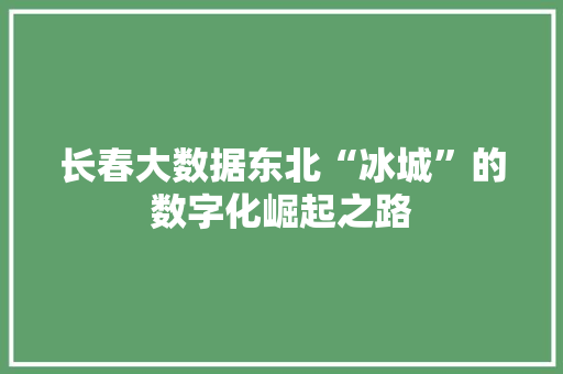 长春大数据东北“冰城”的数字化崛起之路