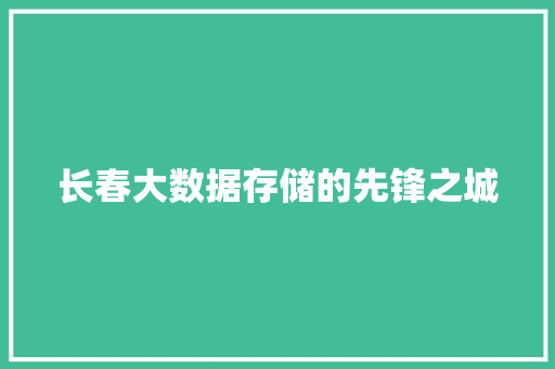 长春大数据存储的先锋之城