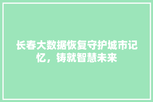 长春大数据恢复守护城市记忆，铸就智慧未来