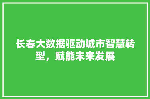 长春大数据驱动城市智慧转型，赋能未来发展