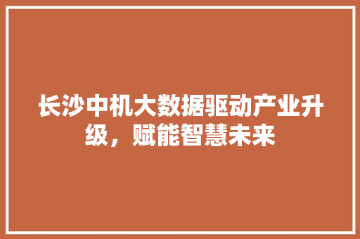 长沙中机大数据驱动产业升级，赋能智慧未来
