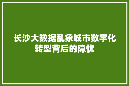 长沙大数据乱象城市数字化转型背后的隐忧