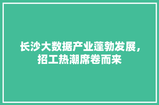 长沙大数据产业蓬勃发展，招工热潮席卷而来