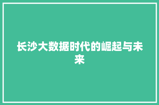 长沙大数据时代的崛起与未来