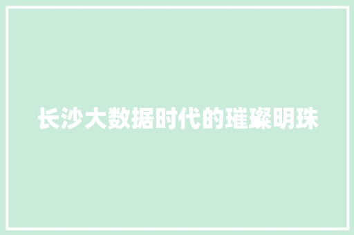 长沙大数据时代的璀璨明珠