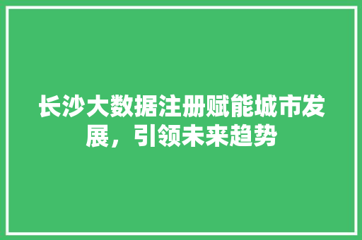长沙大数据注册赋能城市发展，引领未来趋势