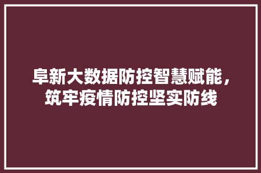 阜新大数据防控智慧赋能，筑牢疫情防控坚实防线