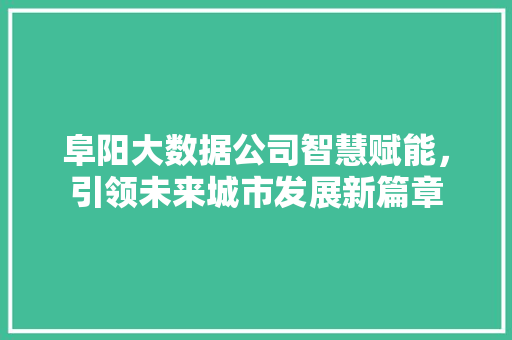 阜阳大数据公司智慧赋能,引领未来城市发展新篇章 阜阳大数据公司智慧赋能,引领未来城市发展新篇章