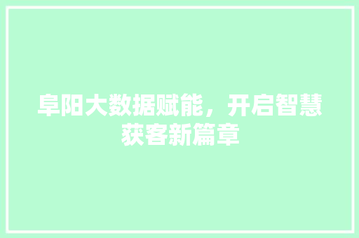 阜阳大数据赋能,开启智慧获客新篇章 阜阳大数据赋能,开启智慧获客新篇章