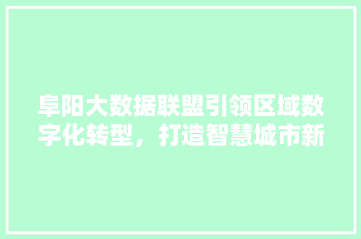 阜阳大数据联盟引领区域数字化转型,打造智慧城市新典范 阜阳大数据联盟引领区域数字化转型,打造智慧城市新典范
