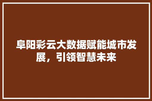 阜阳彩云大数据赋能城市发展，引领智慧未来