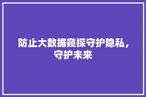 防止大数据窥探守护隐私,守护未来 防止大数据窥探守护隐私,守护未来