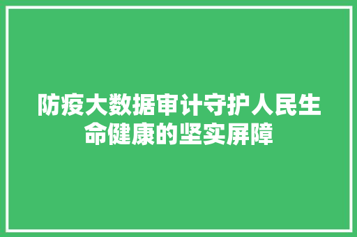 防疫大数据审计守护人民生命健康的坚实屏障