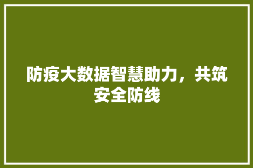 防疫大数据智慧助力，共筑安全防线