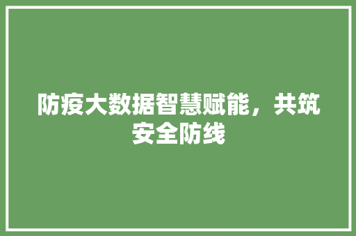 防疫大数据智慧赋能，共筑安全防线