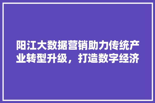 阳江大数据营销助力传统产业转型升级,打造数字经济新引擎 阳江大数据营销助力传统产业转型升级,打造数字经济新引擎