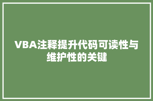 VBA注释提升代码可读性与维护性的关键
