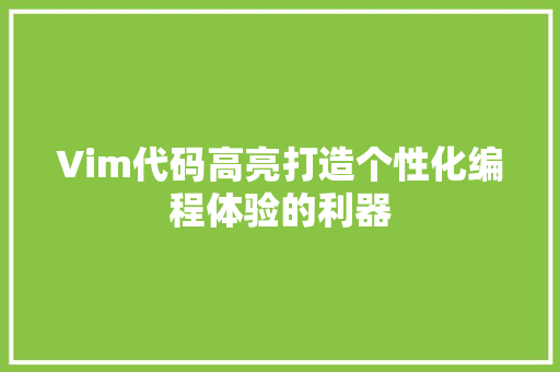Vim代码高亮打造个性化编程体验的利器