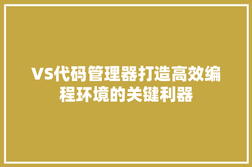 VS代码管理器打造高效编程环境的关键利器
