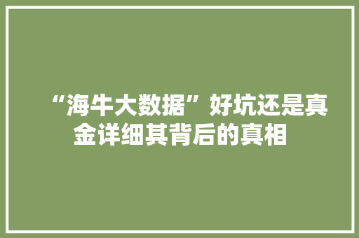 “海牛大数据”好坑还是真金详细其背后的真相