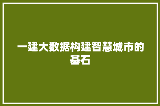 一建大数据构建智慧城市的基石